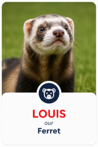 Mylittlepettingzoo Louis our Ferret